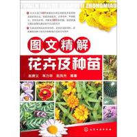 11图文精解花卉及种苗9787122104281LL