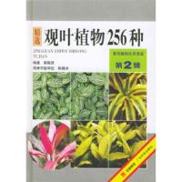 11观叶植物256种(第2辑)——景观植物实用图鉴9787535923929LL