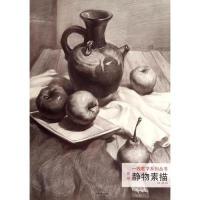 11质感静物素描9787540128968LL