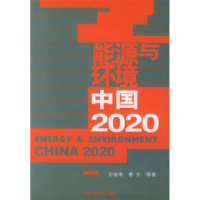 11能源与环境:中国20209787801639936LL