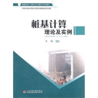 11桩基计算理论及实例9787564309763LL