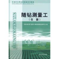 11石油石化职业技能鉴定试题集随钻测量工(仪器)9787502170707