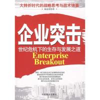 11企业突击-世纪危机下的生存与发展之道9787504464309LL