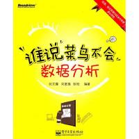 11谁说菜鸟不会数据分析9787121135873LL