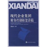 11现代企业集团财务控制框架讲稿9787505878822LL