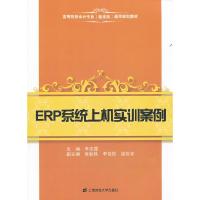 11ERP系统上机实训案例(附光盘)9787564212902LL