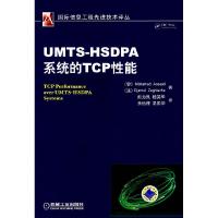 11UMTS-HSDPA系统的TCP性能9787111254539LL