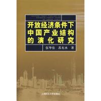 11开发经济条件下中国产业结构的演化研究9787810987745LL