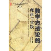 11数学方法论的理论与实践9787543557574LL