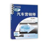 11汽车营销师:高级9787534167539LL