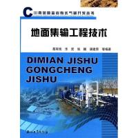 11川南碳酸盐岩有水气藏开采丛书地面集输工程技术9787502186760