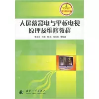 11大屏幕彩电与平板电视原理及维修教程9787118050233LL