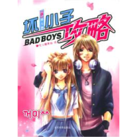 11坏小子攻略9787801159854LL