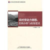 11农村劳动力转移:结构分析与政策建议9787563818341LL