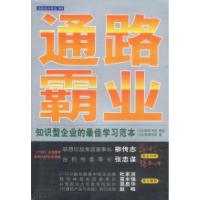 11通路霸业:知识型企业的最佳学习范本9787806395998LL