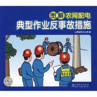 11图解农网配电典型作业反事故措施9787508393995LL