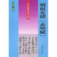 11明祝允明《赤壁赋》——历代名家草书临习教程9787539812052LL