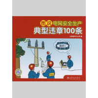11图说电网安全生产典型违章100条9787508387963LL
