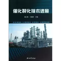 11催化裂化技术进展9787502180669LL