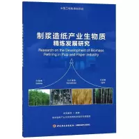 11制浆造纸产业生物质精炼发展研究9787518420049LL