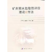 11矿井突水危险性评价理论与方法9787030321350LL