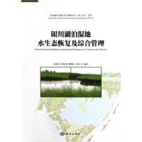 11银川湖泊湿地水生态恢复及综合管理9787502782351LL