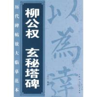 11柳公权玄秘塔碑——历代碑帖放大临摹范本9787532263035LL