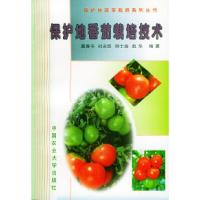 11保护地番茄栽培技术——保护地蔬菜栽培系列丛书9787810029360