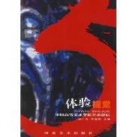 11体验视觉/中国高等美术学院艺术论坛9787531022350LL