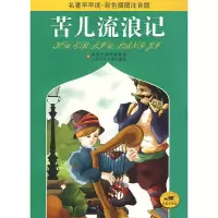 11苦儿流浪记9787534646072LL