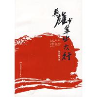 11英雄少年出太行9787503319389LL