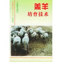 11羔羊培育技术9787508206103LL
