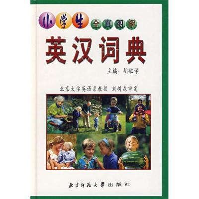 11小学生全真图解英汉词典9787303067671LL