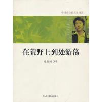 11中国小小说名家档案·在荒野上到处游荡9787511207579LL