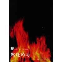 11燃烧的马——短篇王文丛9787503928635LL