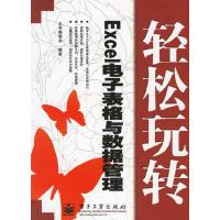 11轻松玩转——Excel电子表格与数据管理9787121038464LL