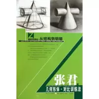 11张军几何形体对比训练法9787539433332LL