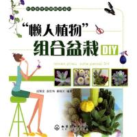 11“懒人植物”组合盆栽DIY9787122062567LL