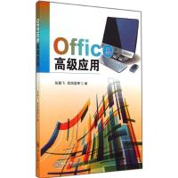 11Office高级应用9787306050076LL