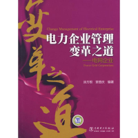 11电力企业管理变革之道——电网企业9787508382777LL