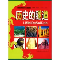 11历史的隧道9787807625957LL