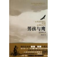 11男孩与鹰9787540447533LL