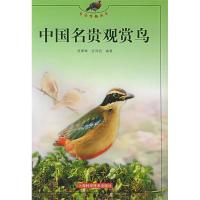 11中国名贵赏鸟——生活情趣丛书9787532360697LL