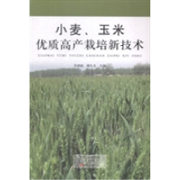 11小麦:玉米优质高产栽培新技术9787554208410LL