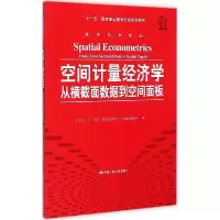 11空间计量经济学:从横截面数据到空间面板9787300210247LL