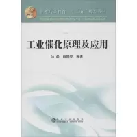 11工业催化原理及应用9787502461447LL