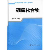 11硼氢化合物9787122115065LL