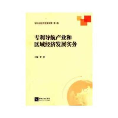 11专利导航产业和区域经济发展实务9787513018944LL