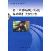 11基于岩体结构分析的煤巷锚杆支扩技术9787116064058LL