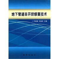 11地下管道非开挖修复技术9787116063686LL